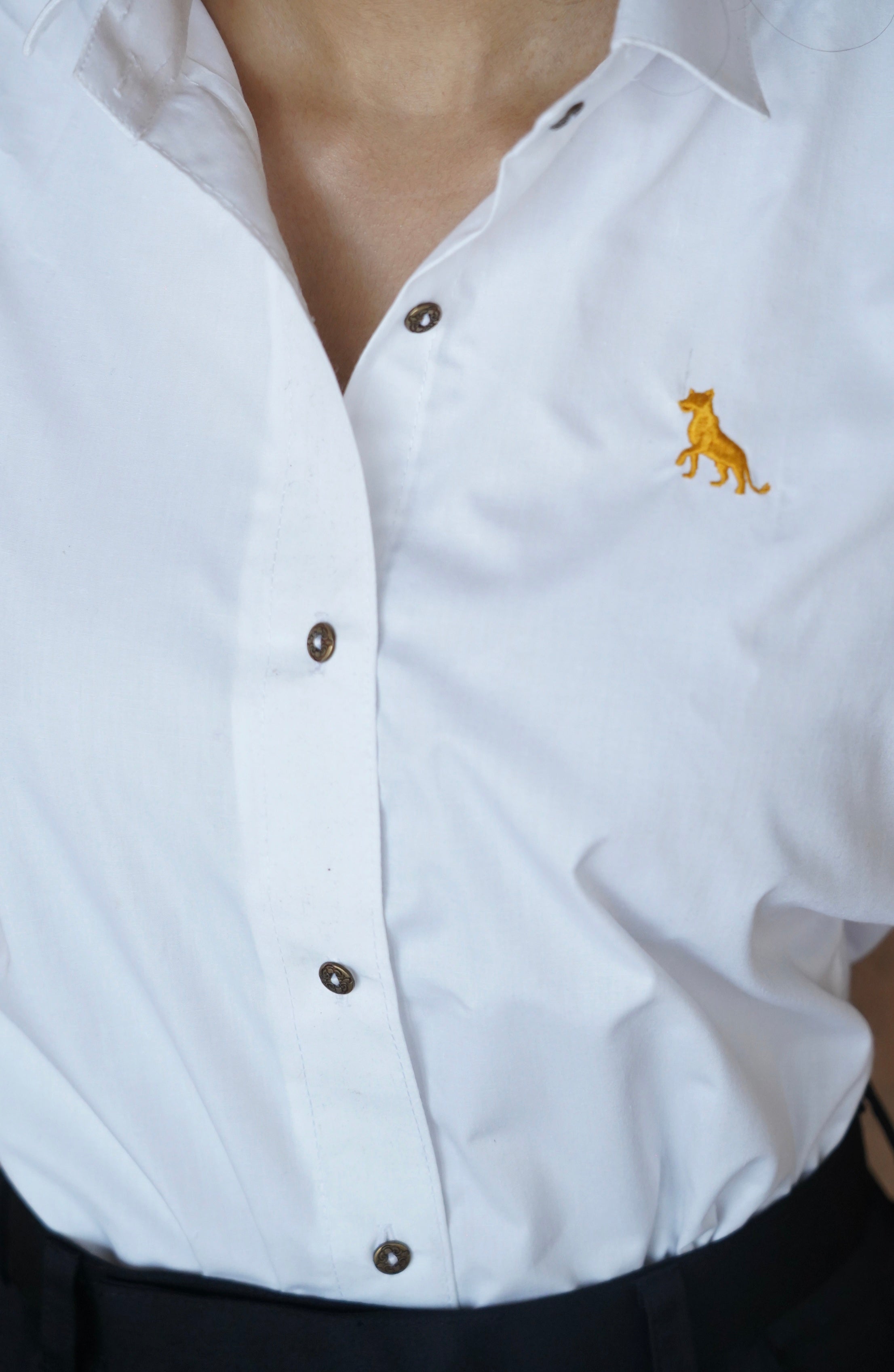 The Classic White Shirt